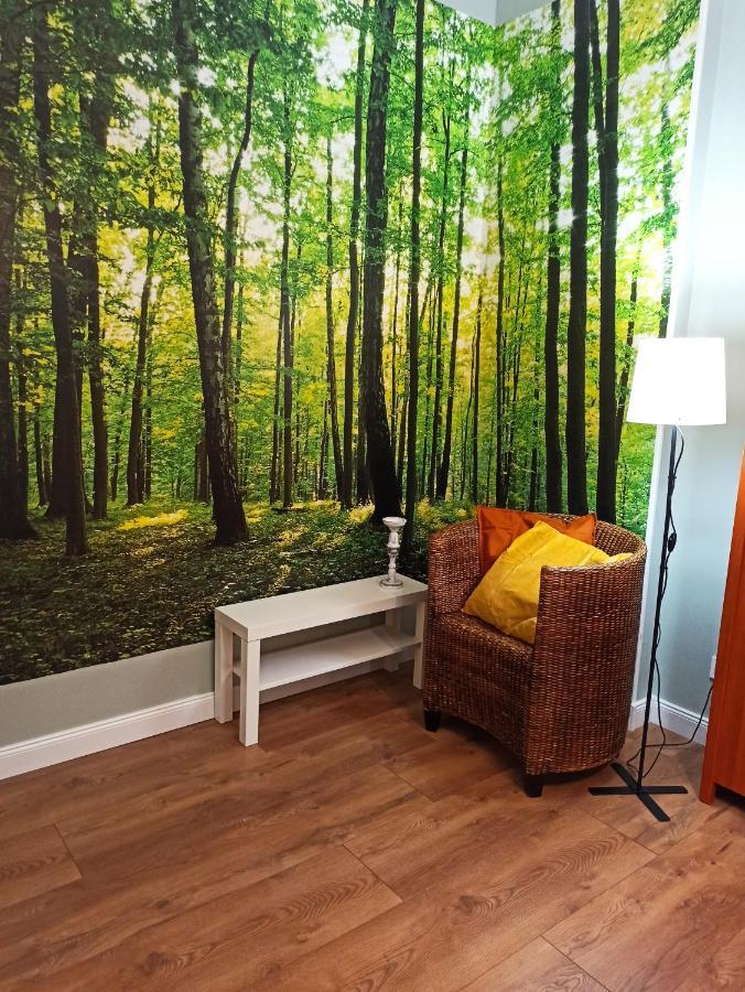 Apartament Rozeta Centrum 6Os Lehnice Exteriér fotografie