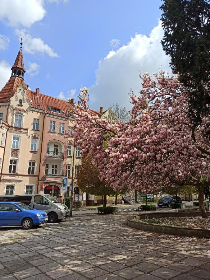Apartament Rozeta Centrum 6Os Lehnice Exteriér fotografie