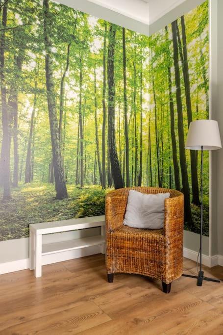 Apartament Rozeta Centrum 6Os Lehnice Exteriér fotografie